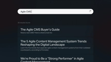 Search bar with 'Agile CMS' query and related results in digital solution content dashboard.