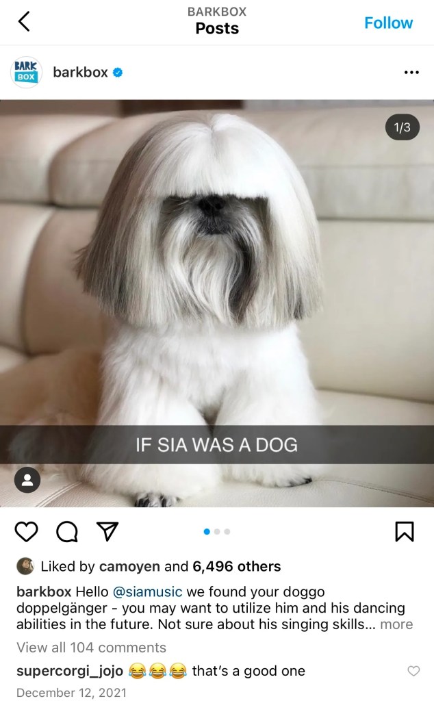 Screenshot instagram post from Barkbox of a dog with a Sia-like haircut and text "If Sia was a dog" written on image