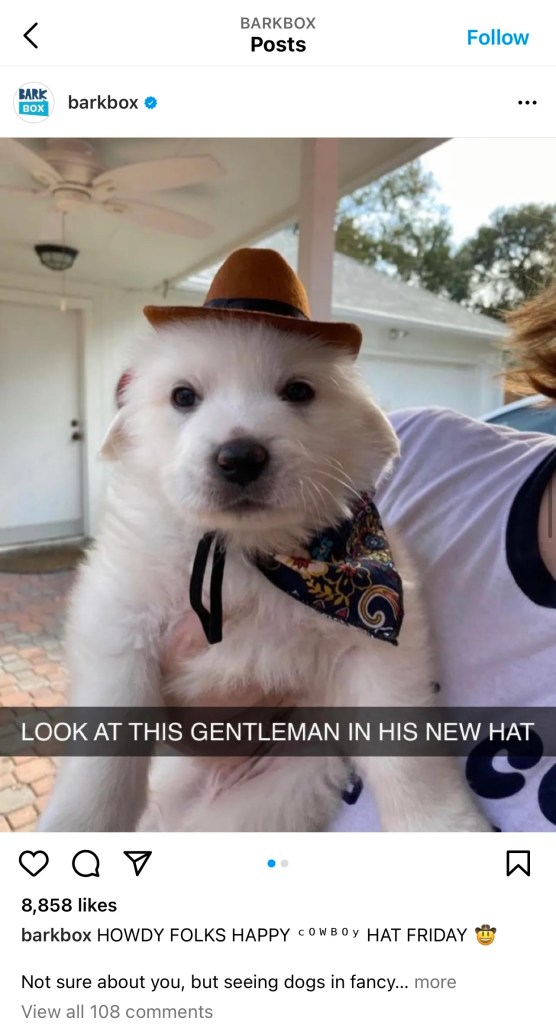 Screenshot instagram post from Barkbox of puppy in hat and text "Look at this gentleman in his new hat" written on image