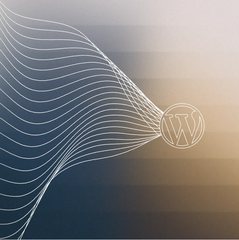 Illustration of flowing curved lines converging into the WordPress logo on a dark gradient background.