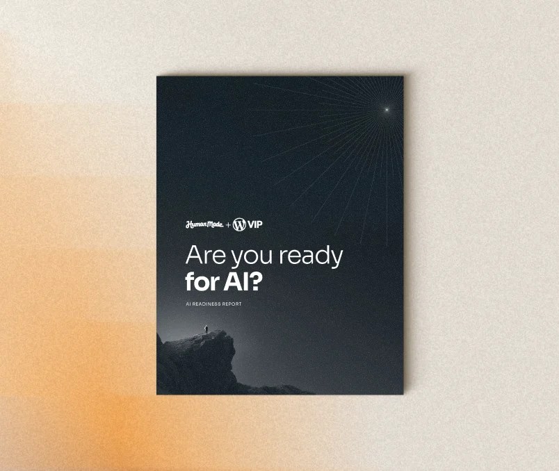Report cover titled “Are You Ready for AI?” with a figure standing on a cliff beneath a starry sky.